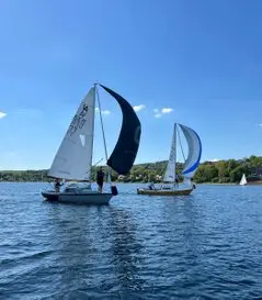 Regatta