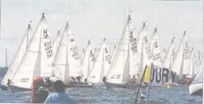Regatta